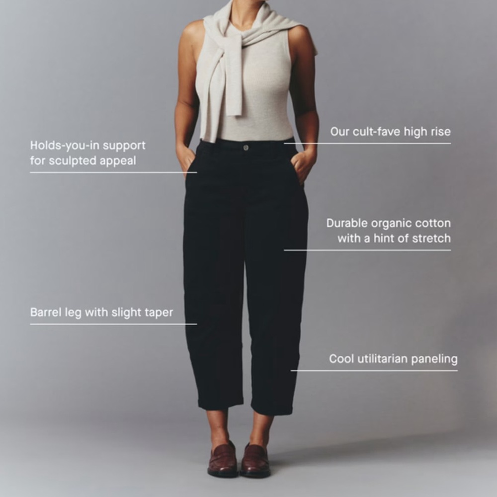 Everlane Utility Barrel Pant